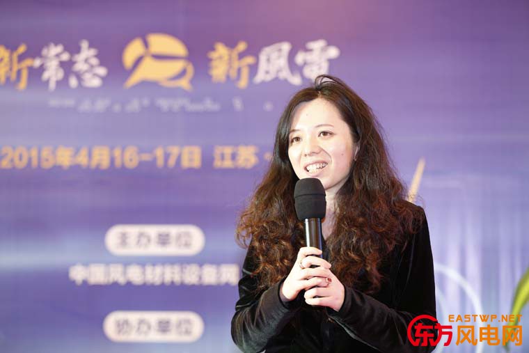 3M中國有限公司風(fēng)電事業(yè)部經(jīng)理-陶理