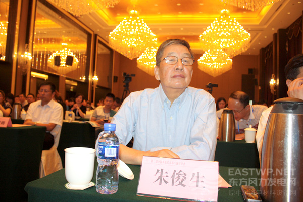 中國(guó)可再生能源學(xué)會(huì)產(chǎn)業(yè)工業(yè)委員會(huì)朱俊生主任