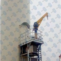 中際聯(lián)合3slift船舶吊機(jī)，平臺(tái)吊裝貨物設(shè)備圖片1