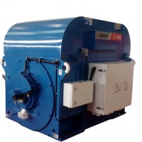 2MW永磁同步發(fā)電機TFY20-06圖片1