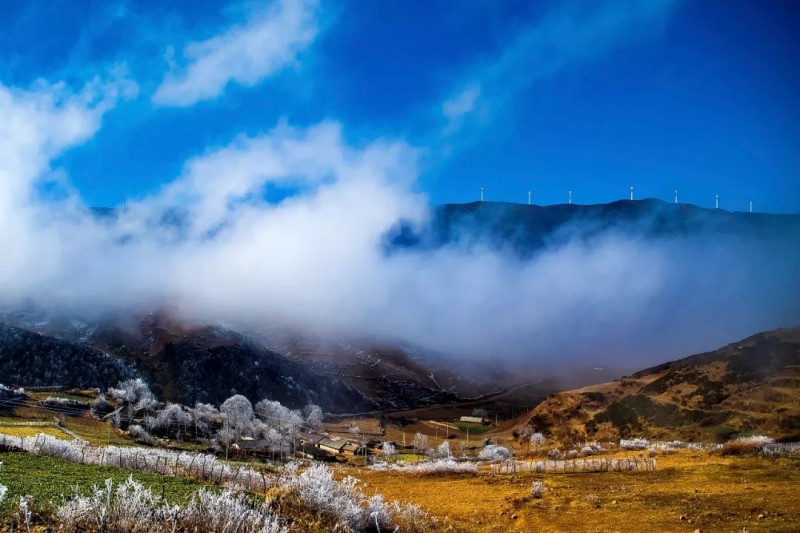 大涼山風(fēng)車之家（組圖）、上海廣播電視臺(tái)（退休）、張爭(zhēng)鳴