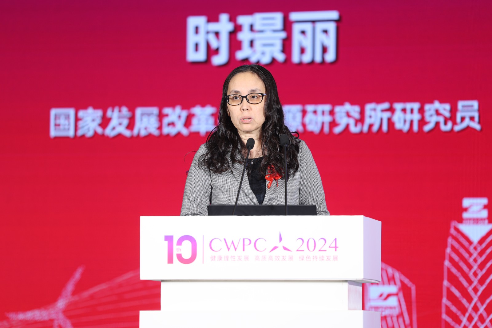 國家發(fā)展改革委能源研究所研究員時璟麗