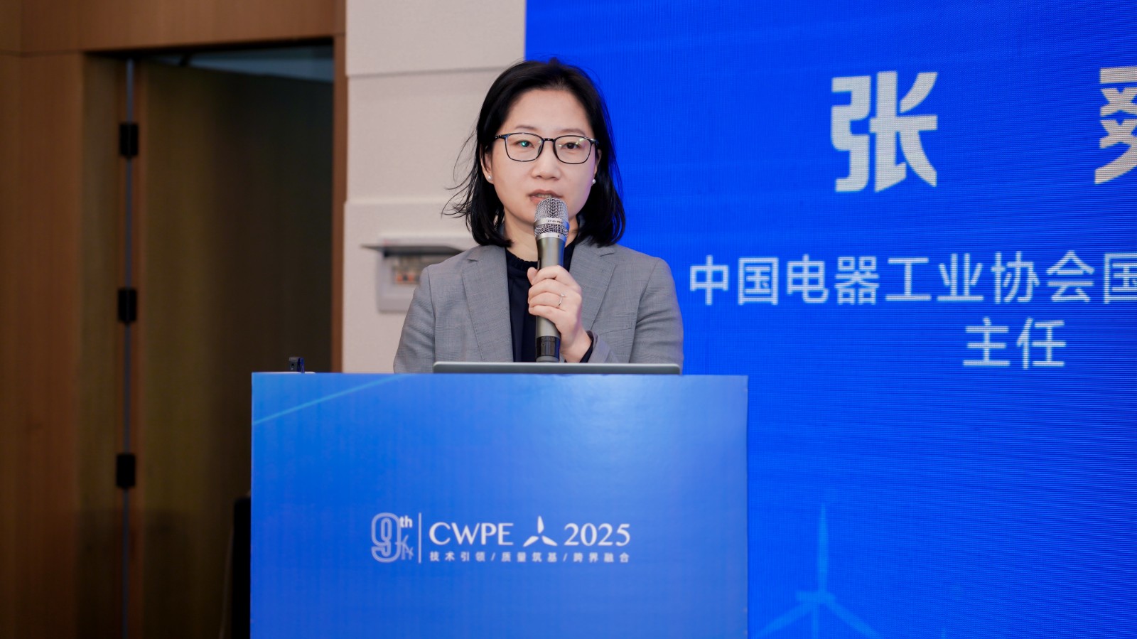 中國電器工業(yè)協(xié)會國際合作部主任 張爽