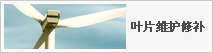 葉片維護(hù)修補(bǔ)圖片1