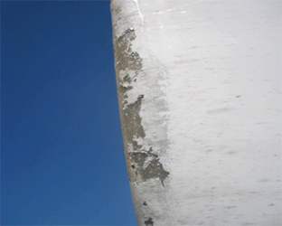 葉片表面涂層裂紋、脫