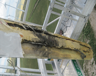 嚴(yán)重?fù)p傷葉片修復(fù)